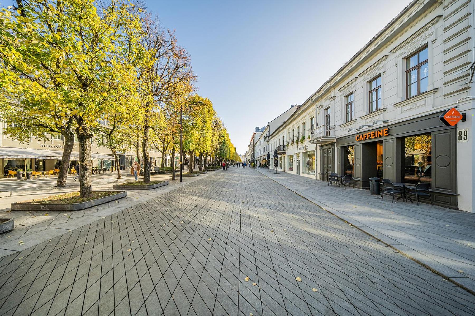Central Park Apartments - The Luxury Collection Kaunas Ngoại thất bức ảnh